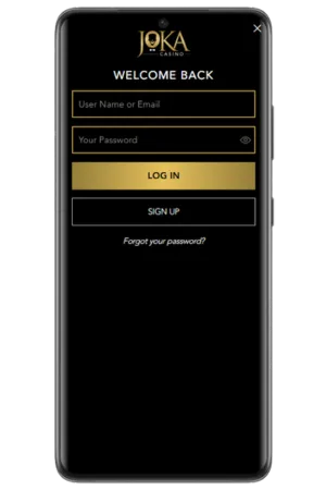 Login form email password fields JokaRoom